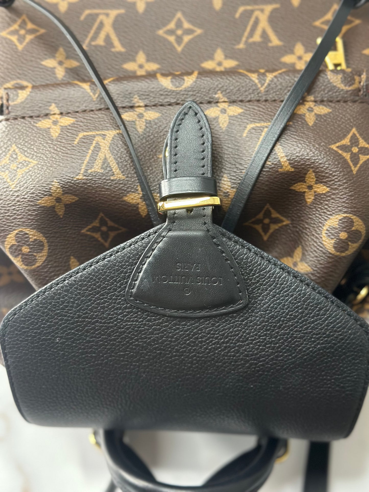 Pre-owned Louis Vuitton monogram Canvas Montsouris NM backpack PM